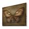 Designart - Vintage Butterfly In Earth Tones - Vintage Print on Natural Pine Wood